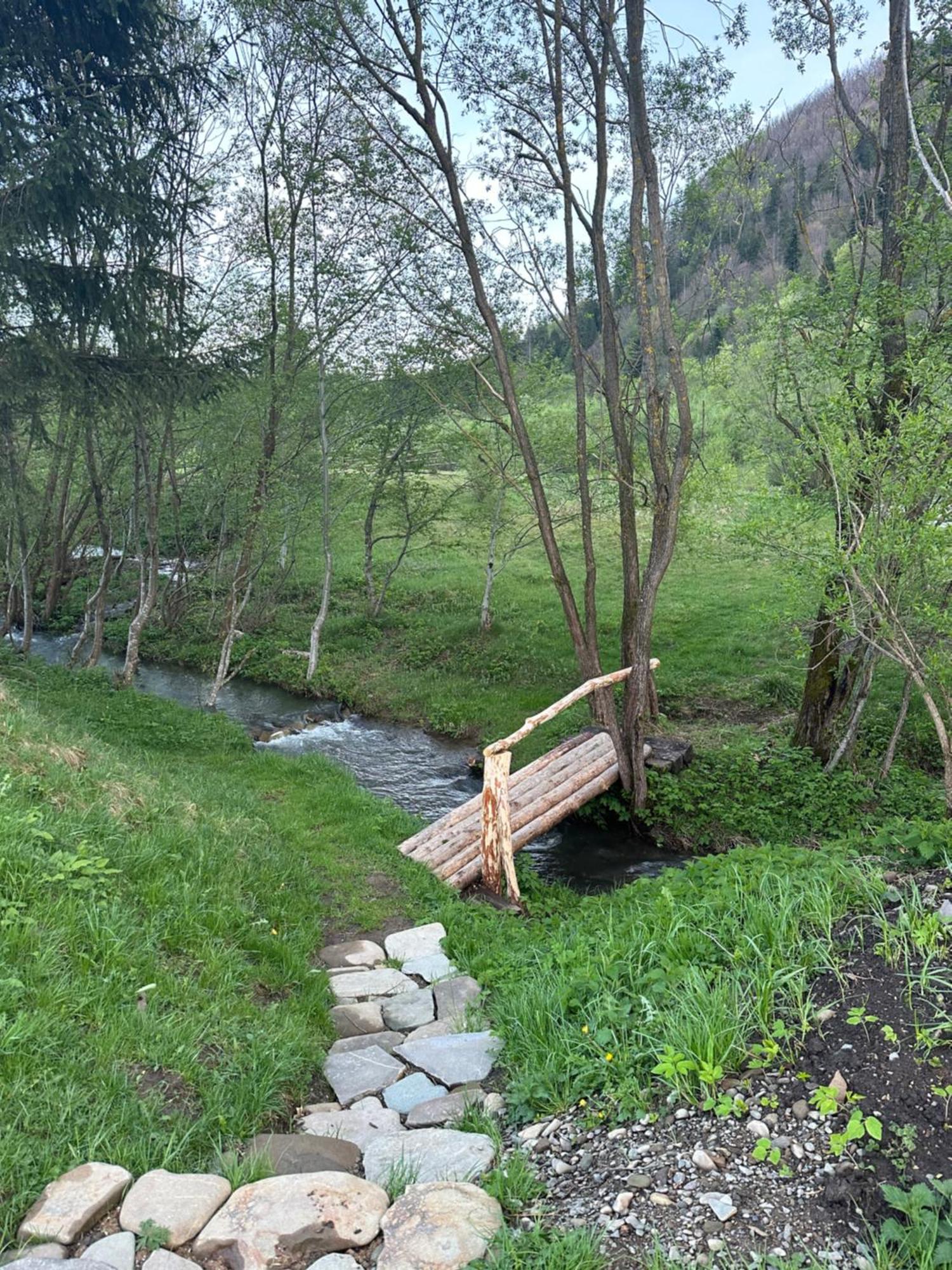 Appartamento Знакова Хата Grebenov Esterno foto